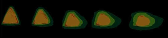 StormGen Figure 4