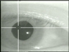 Click to view the eye-tracking detail Quicktime movie